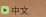 中文